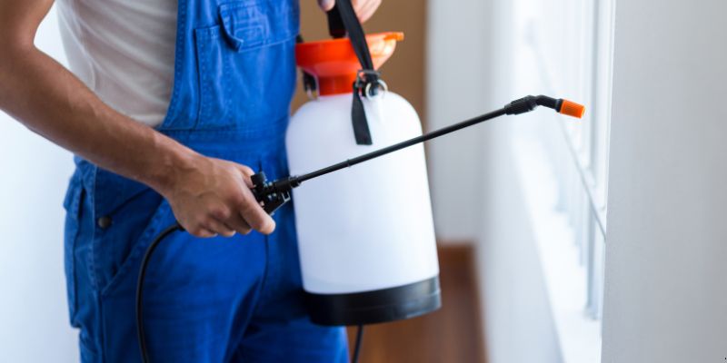 Como Fazer Dedetização em Casa em Jundiaí: 4 Dicas Simples Como fazer dedetização em casa em Jundiaí