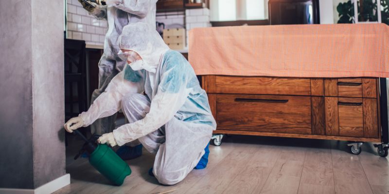 Dedetização em Apartamento Como Funciona em Jundiaí: Confira 4 Passos Dedetização em Apartamento Como Funciona em Jundiaí: Confira 4 Passos