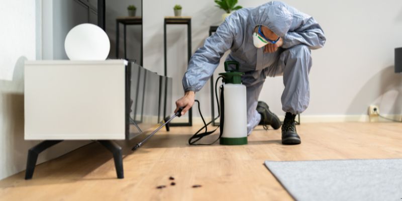 Quanto tempo dura uma dedetização em Jundiaí?